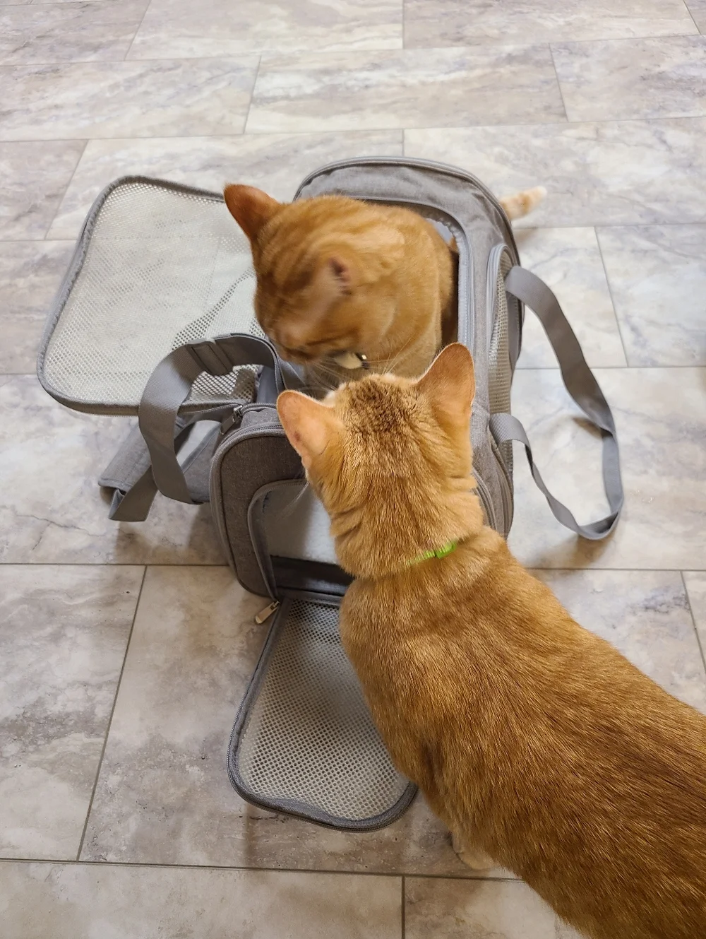 Pet Carrier Soft-Sided Gray Mesh Travel Duffle, Sherpa Pad Zippered Easy Access